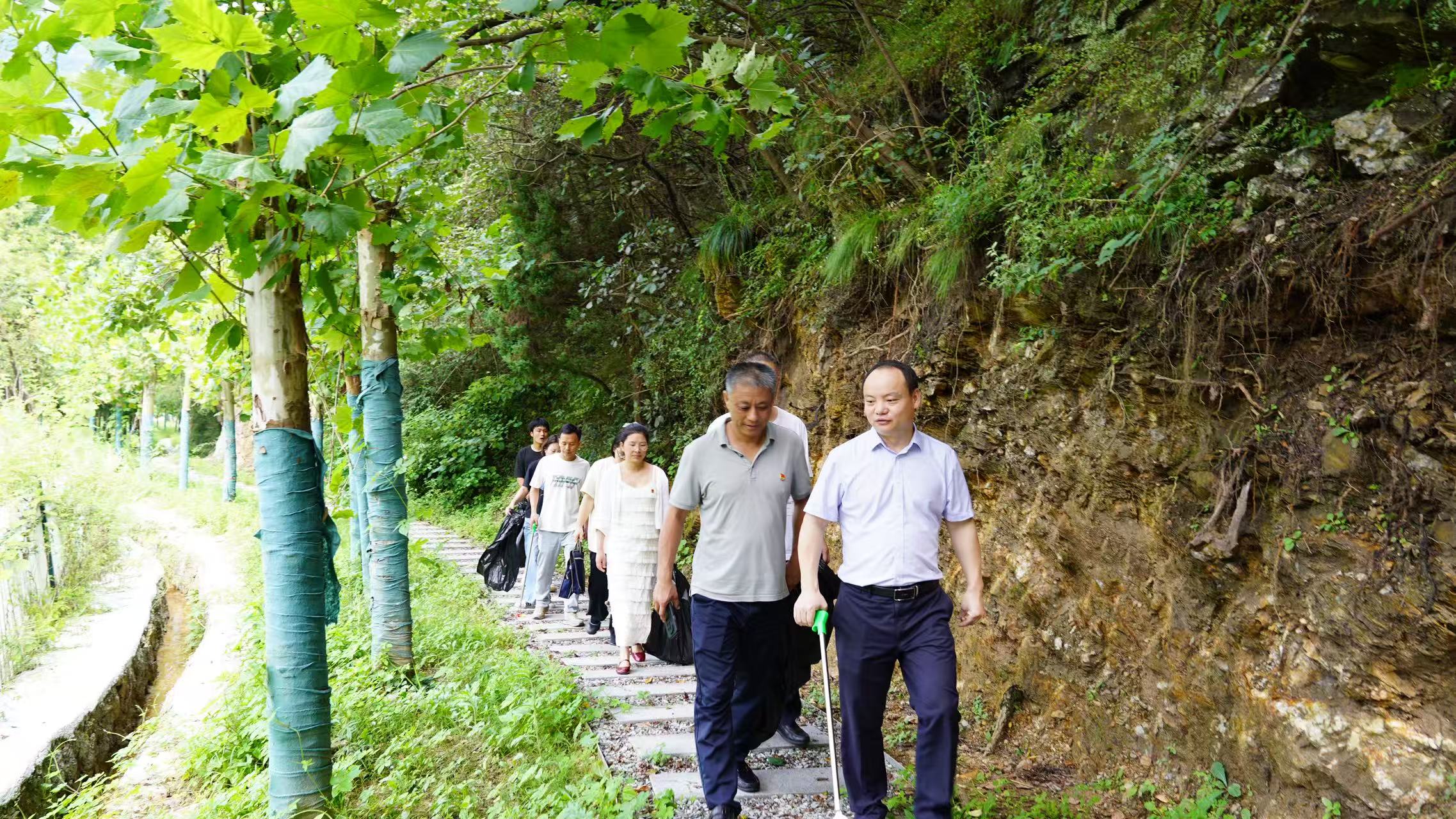 山林有约 共护青绿